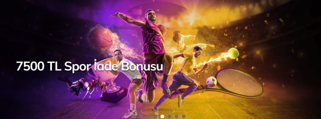 wonodd firma bilgileri